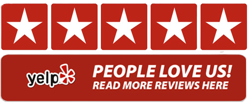 Dynasty Yelp Reviews